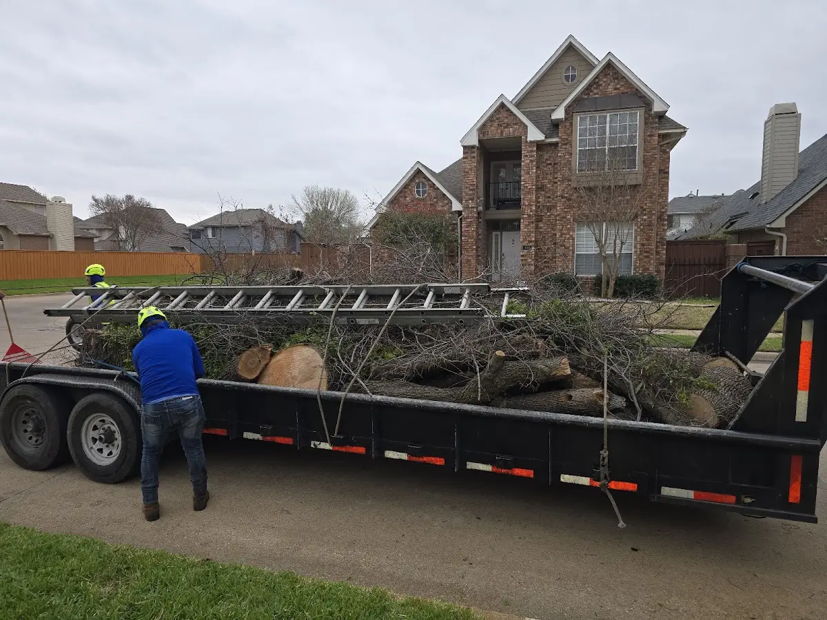 Expert Tree Removal with proper safety equipment in Monmouth Junction